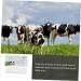 Pregnant Horse Test Strip - Early Detection for Livestock & Farm Animals | 1pc Pregnancy Test Paper for Cows & Sows - Buy Online on GoSupps.com