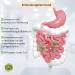 Buy Rosental Organics Vegan Pre & Probiotic Capsules - 60 Capsules for Bloating Relief - Made in Germany - International Shipping - Buy Online on GoSupps.com