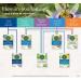 Organic Nighty Night Herbal Tea - Caffeine-Free Relaxation Tea with Valerian - 16 Wrapped Bags - Buy Online on GoSupps.com