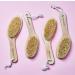 Skin Gym Dry Body Brush with Soft and Stiff Bristles - Exfoliating Scrubber for Cellulite, Lymphatic Drainage, Blood Circulation - Buy Online on GoSupps.com