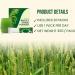 Shop 100% Pure & Organic Naveta Barley Grass Powder - 2023's Best for Men & Women | 1 Box (20 Packs) - Buy Online on GoSupps.com