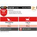 VetIQ Healthy Bites Urinary Care Cat Treats 8x 65g - Cranberry Supplement for Urinary Health - Cheese & Catnip Flavored Kitten Treats - Prebiotic Fibre for Cat Health - Buy Online on GoSupps.com
