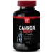 CANDIDA AWAY COMPLEX - Candida Support Supplement with Wormwood, Black Walnut, Aloe Vera & Gut Flora Complex - 1B 60 Caps - Buy Online on GoSupps.com
