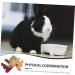BUGUUYO Rabbit Snacks Guinea Pig Treats Rabbit Treats for Bunnies Bunny Cage Accessories Fiber - Buy Online on GoSupps.com
