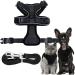 Schwartz S Cat Dishes with Leash - Premium Cat Harness for Maine Coons & Large Cats - Durable Cat Leash & Feeding Dish Combo - Buy Online on GoSupps.com