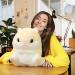 MUZIRI KINOKOO Cute Hamster Plush Pillow Blanket - Soft Folding Throw for TV, Sofa, Office, and Plane - Beiges - Buy Online on GoSupps.com