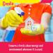 Multi Purpose Cleaner Concentrate - Deodorant & All Purpose Household Cleaner (3 Fl Oz Pack of 2) - Ideal for Home Kennel & Industrial Use - Buy Online on GoSupps.com