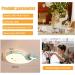 Shop Aoeh LED Ceiling Lamp 60cm - Dophinform Green Suspension Light for Kids' Bedrooms | Dimmable Room Lighting for Children - Buy Online on GoSupps.com