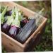 SUPVOX 1pc Vegetable Planting Melon Shaping Growing Shaped Stereotype Star Supply Plastic Fruit Growth - Buy Online on GoSupps.com