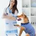 Recreational Suit for Dogs & Cats | Postoperative Recovery Wear | Prevent Licking & Protect Wounds - XL Size - Buy Online on GoSupps.com