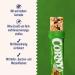 Buy Corny Classic Hazelnut Cereal Bar - Delicious Nuts & Honey | 60x25g - International Shipping Available - Buy Online on GoSupps.com