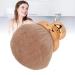 Mushroom Head Makeup Brush Soft Loose Powder Brush Portable Brush Electroplated Handle Fiber Rose Gold for Blush Loose Powder