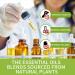 Essential Oil Blends Set for Diffusers | Spearmint Tea Calming & Relaxing Aromatherapy | 6x10ml Well-Being Kit for Home & Skin Care - Buy Online on GoSupps.com