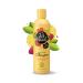 PET HEAD Cat Shampoo 300ml Felin Good Fruity Scent Best Shampoo for Smelly Cats Nourishing & Deodorising Professional Grooming Vegan Natural ph-Neutral Lick-Safe Gentle Formula For Kittens