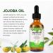 Organic Jojoba Oil 100% Pure Jojoba Oil for Hair Growth and Skin Care Moisturizing Oil for Face Body Hair Beard Nails 60 mL - Buy Online on GoSupps.com