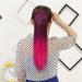 Ponytail Extensions Rainbow Ombre Color Straight Synthetic Hair Ponytail Extension Ribbon Drawstring Ponytails Vitality Cosplay Hair for Women(1BTPINK3) 22INCHES 1BTPINK3 - Buy Online on GoSupps.com