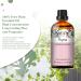 PHATOIL Thyme Essential Oil 30ML - Premium Grade Pure Oil for Aromatherapy Diffusers, Humidifiers, and Candle Making - Buy Online on GoSupps.com