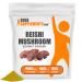 BULKSUPPLEMENTS.COM Reishi Mushroom Extract Powder - Mushroom Supplements for Immune Support Superfood - 1000mg of Ganoderma Lucidum Extract per Serving Gluten Free (500 Grams - 1.1 lbs) 1.1 Pound (Pack of 1)