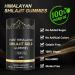 Himalayan Shilajit Gummies, Pure Shilajit Gummies for Men, Gold Rich in Ashwagandha, Gokshura | Fulvic Acid & 85+ Trace Minerals, No Added Sugar | Non-GMO 100% Natural & Organic | 60 Gummy - Buy Online on GoSupps.com