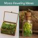 Neptten Preserved Moss for Fairy Garden - Versatile Chartreuse 3oz Decor Moss for Limitless Creativity! - Buy Online on GoSupps.com