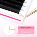 TDANCE Premium D Curl Eyelash Extensions 0.05mm + Ellipse Flat Lashes 0.15 D Curl 8-15mm - Mixed Lengths - Buy Online on GoSupps.com