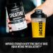 Creatine Monohydrate Powder - Creatine Supplement for Muscle Growth Increased Strength Enhanced Energy Output and Improved Athletic Performance by Jacked Factory - 85 Servings Peach Mango Peach Mango 85 Servings (Pack of 1) - Buy Online on GoSupps.com