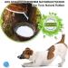 Petp l Natural Rubber Dog Ball with Rope - 7cm Throwing Toy for Playtime | Durable Blue Dog Toys for Fetch & Fun - Buy Online on GoSupps.com