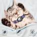 Adjustable Reflective AirTag Cat Collar - GPS Neck Band with Bell for Cats & Puppies XS 7-9 inch - Jiarui Purple - Buy Online on GoSupps.com