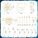 Elegant Wedding Hair Comb Set with Faux Pearl and Crystal Accents - 44 Pieces - Buy Online on GoSupps.com