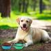 Slson Foldable Travel Pet Bowls - 2 Pack Silicone Dog & Cat Bowls with Lid & Hook - Portable 350ml for Hiking & Camping - Light Blue - Buy Online on GoSupps.com