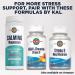 KAL Stress B Complex Vitamin Supplement for Energy and Immune Support - 100 Tablets - Buy Online on GoSupps.com