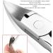 Thick Toenail Clipper Ingrown Toenail Trimmer Curved Strong Nail Cutter for Ingrown Toenail Treatment - Buy Online on GoSupps.com
