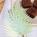 Rumyve Tropical Palm Leaf Cake Decoration 7 PCS of artificial Palm Leaf Hawaiian Themed Birthday Party Supplies Summer Tropical Birthday Cake Cupcakes - Buy Online on GoSupps.com