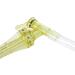Tetra Gravel Cleaner GC50 Easy to Use with Automatic Starting Mechanism Deluxe - Buy Online on GoSupps.com