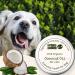 Noseprint 100% Organic Coconut Oil for Dogs Immunity Booster Itch Relief Digestive Support & Paw Balm - Buy Online on GoSupps.com