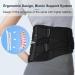 Back Brace for Lower Back Pain Relief | Breathable Support Belt for Men & Women | Sciatica Herniated Disc Scoliosis - X-Large - Buy Online on GoSupps.com