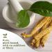 Gade Nutrition American Ginseng Extract Powder | Panax quinquefolius Leaf Non-GMO, Gluten-Free, Dairy Free | 250g (8.8 oz), 1000mg per Serving, 250 Servings | Mental and Physical Endurance | USA Made - Buy Online on GoSupps.com