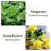 Innergarm Cleansing Bar - Revitalize Your Skin | Shop Internationally - Buy Online on GoSupps.com