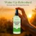 Aromasong Eucalyptus Shower Spray Aromatherapy 100% Natural Eucalyptus Spray for Shower Made in USA, Pure Essential Oil Mist for Sinus Relief & Spa-Like Steam, 4 fl oz 4 Fl Oz (Pack of 1) - Buy Online on GoSupps.com
