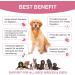 Premium Dog Probiotics 5BIL CFUs | 12 Strains Good Bacteria for Gut & Skin Health | Immune Support & Itch Relief | Salmon Flavored Chews for All Breeds & Ages - Buy Online on GoSupps.com
