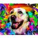 WELYEME Rainbow Dog/Pet Hair Dye Kit - Non-Toxic & Safe Fur Color Paint for Dogs/Cats - Buy Online on GoSupps.com