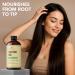 Botanic Hearth Hair Oil for Hair Growth | Strengthening Dry Frizzy Damaged Hair & Scalp Treatment | No Parabens or Harmful Sulfates | All Hair Types | Castor Hair Oil - 4 Fl Oz - Buy Online on GoSupps.com