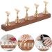 Baluue Press On Nail Stand Manicure Nail Holders Diy Nail Crystal Holder Magnetic Practice Stands Fake Nails Display Holders - Buy Online on GoSupps.com