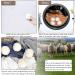 ProLeo Sheep's Wool Balls Reusable Natural Fabric Softener 6 Pieces for Laundry Dryer Leaves Trockner Bl tter - Buy Online on GoSupps.com