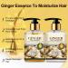 Ensemble shampooing et apr s-shampoing au gingembre pour la croissance des cheveux les traitements de perte de cheveux les produits paississants les soins capillaires hydratants et paississants - Buy Online on GoSupps.com