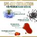 Premium Cold-Pressed Black Seed Oil Capsules 1000mg - Immune & Brain Support - Non-GMO - 60 Count - Buy Online on GoSupps.com