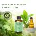 100% Pure Spearmint Essential Oil 4 Fl Oz - Aromatherapy Massage Skin Care & More - Versatile 120 ML for Hair Laundry & DIY Projects - Buy Online on GoSupps.com