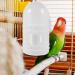 2Pcs Bird Waterer Pigeon Drinker Dispenser - Plastic Pet Water Feeder for Parrot Cage - Buy Online on GoSupps.com