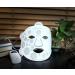 Cutane Clinic LED Light therapy face mask with near infra red - Buy Online on GoSupps.com