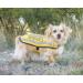 NERVOUS (Give Me Space) Yellow Colour Coded S M L Reflective Waterproof Fleece Lined Warm Dog Coats PREVENTS Accidents By Warning Others Of Your Dog In Advance (S) Small Coat - Buy Online on GoSupps.com